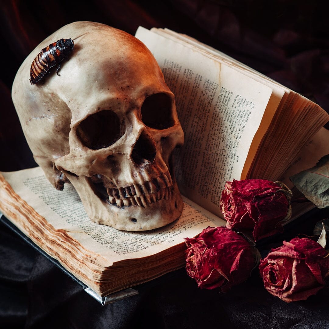 Ink, Bone & Shadow: Why We Still Need Gothic Stories in a Bright, Burning World