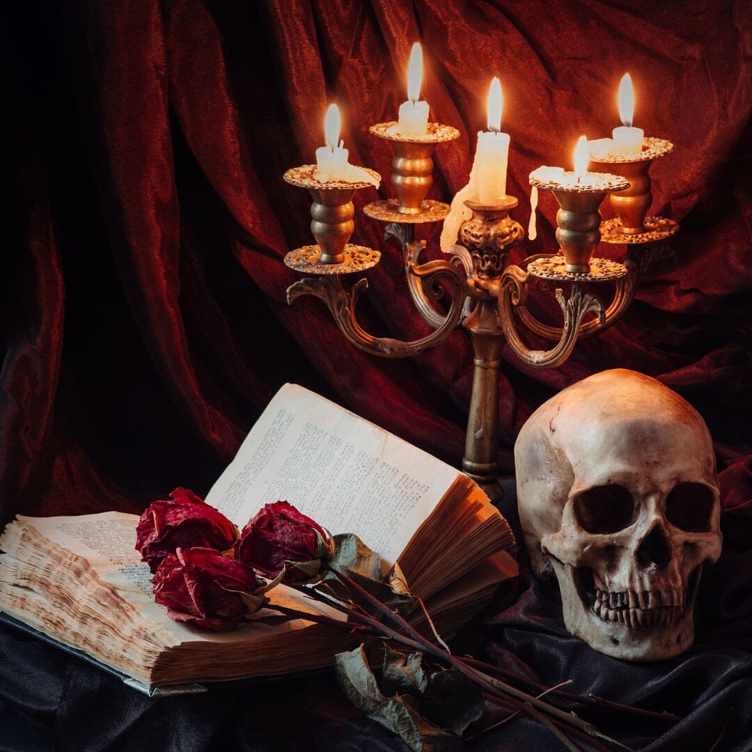 The Evolution of Gothic Fiction: From Shadows of Vienna to Modern Day