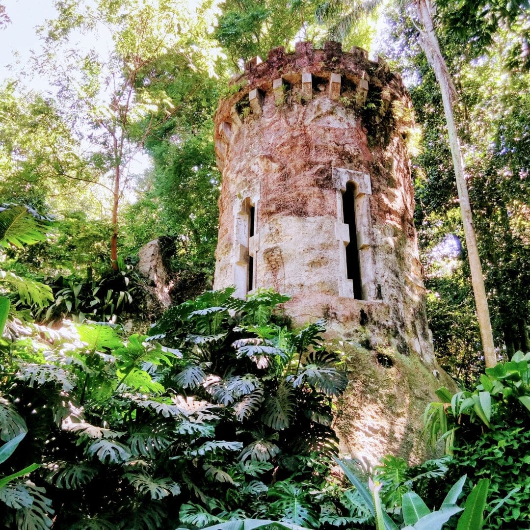 
                What Is Tropical Gothic? The Literary Tradition That Grew in the Shadow of the Rainforest
              