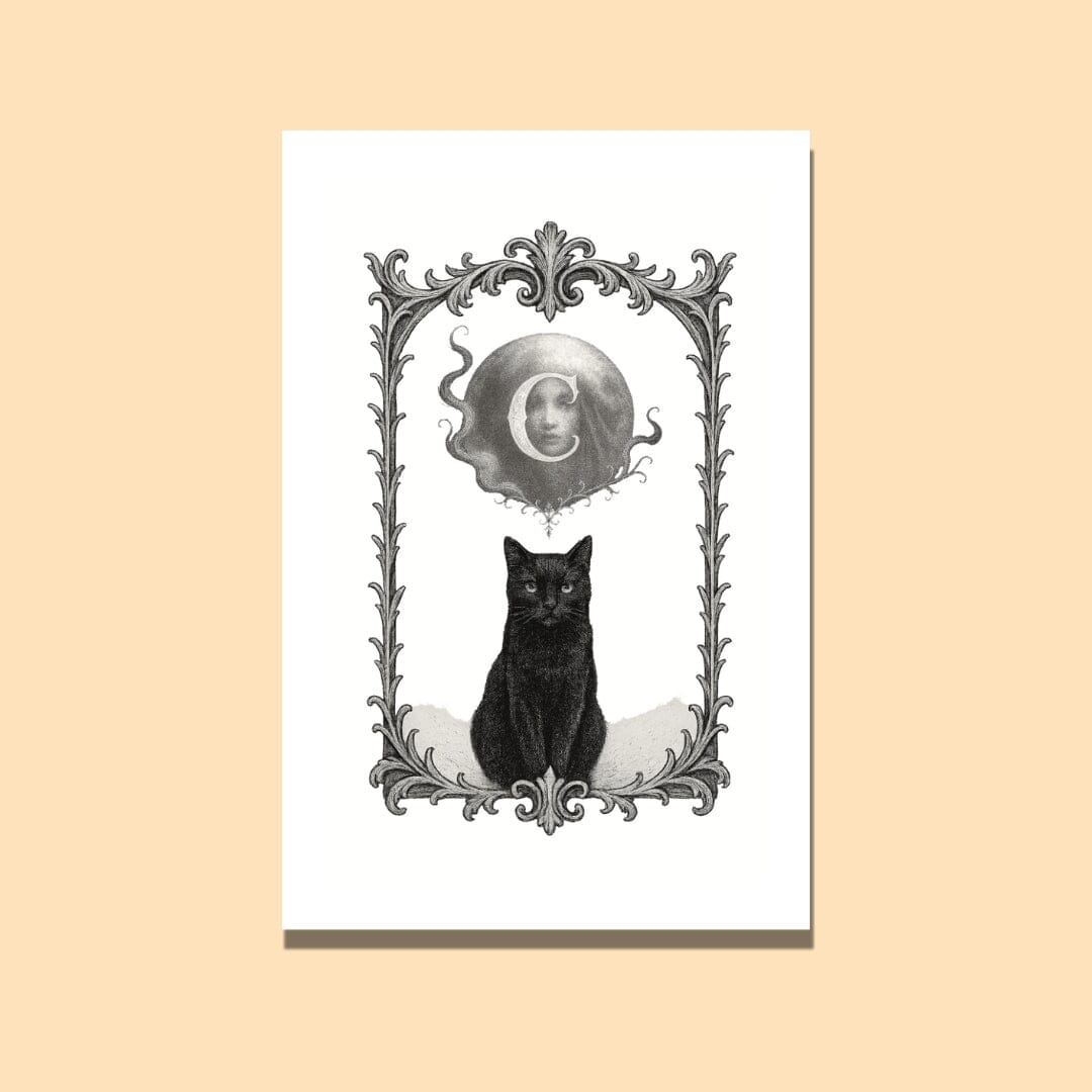 Carmilla: She Who Came Before Dracula Books Caipora Books 